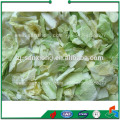 food vacuum freeze drying machine